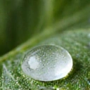 Image representing moisturizing skincare, possibly a water droplet on a leaf or a creamy texture being applied.